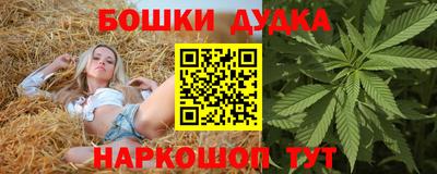 Альфа ПВП Дубна