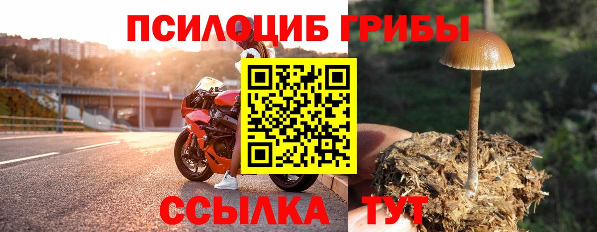 Междуреченск  Галлюциногенные грибы GOLDEN TEACHER  Вход с VPN  Галлюциногенные грибы GOLDEN TEACHER 