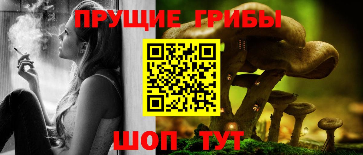 Галлюциногенные грибы прущие грибы Междуреченск